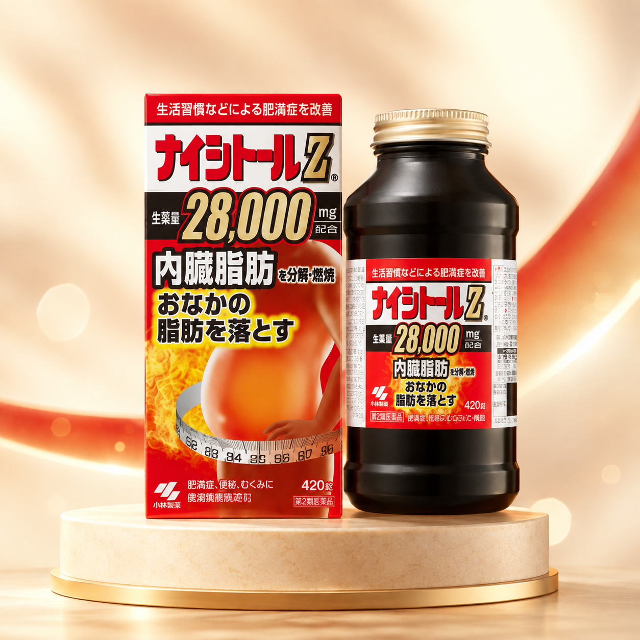 나이시토루Z 420정